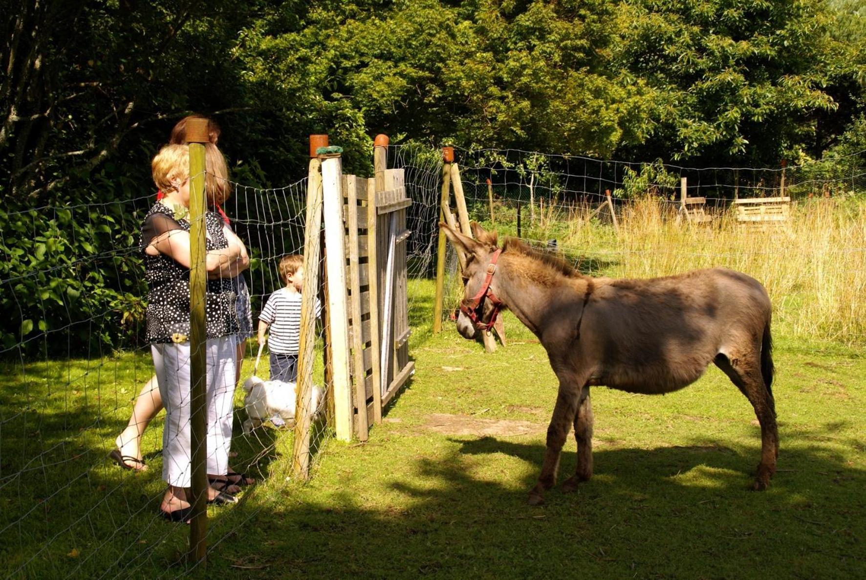 Les Pieds Dans L'herbe Bed & Breakfast